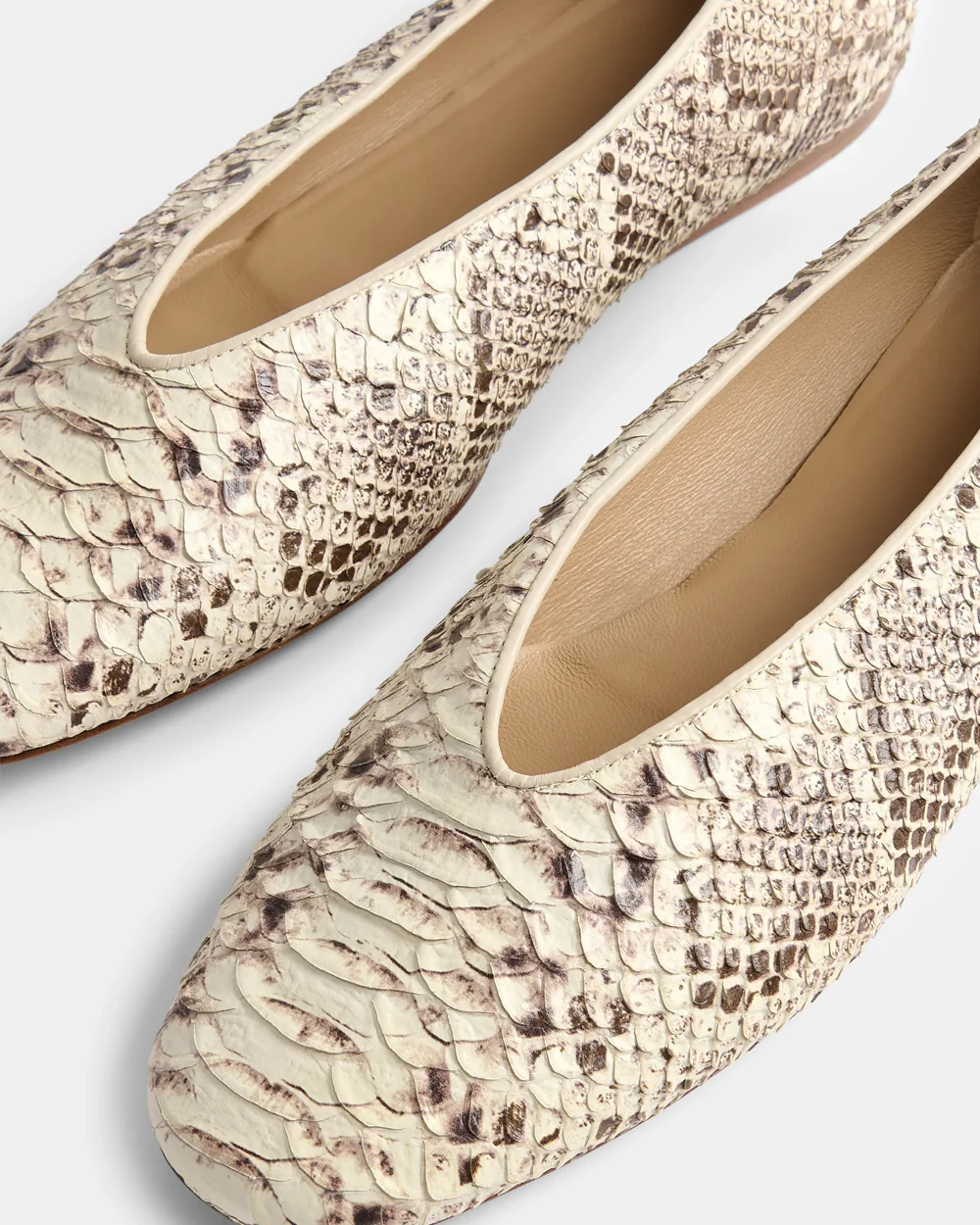 CLASSIC REGENCY / ROCCIA - Image 5